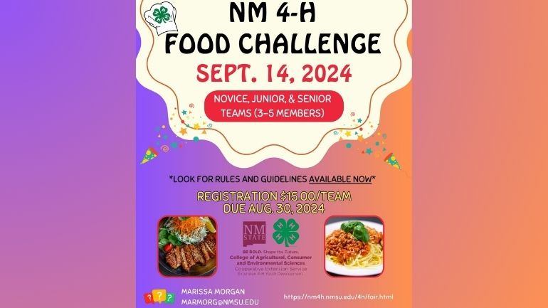 2024 Food Challenge flyer