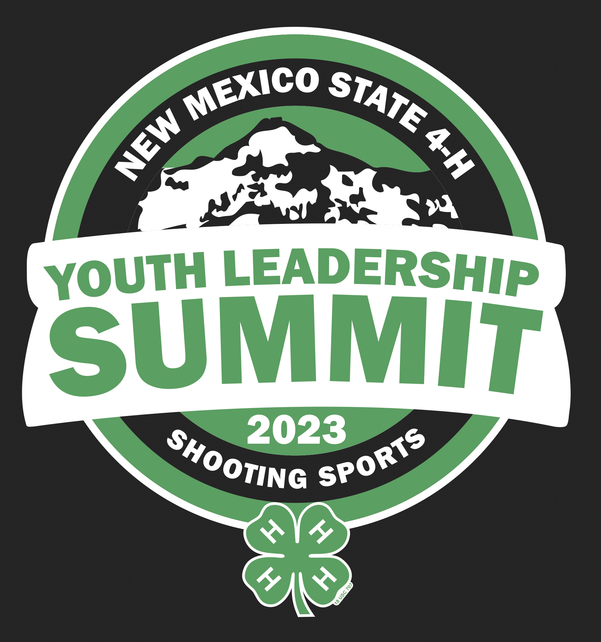 Youth Leadership Summit Logo