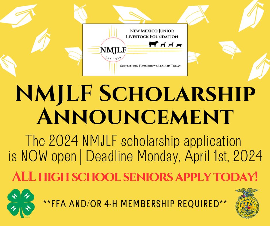 NMJRL-Scholarship-2024.jpg
